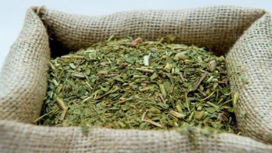 Productor sobre la crisis yerbatera: “Esto es un proyecto de muerte y lo encara el presidente de la república”