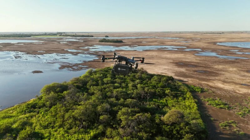 Plantaron 8.000 árboles nativos con drones en el Gran Chaco Plantaron 8.000 árboles nativos con drones en el Gran Chaco