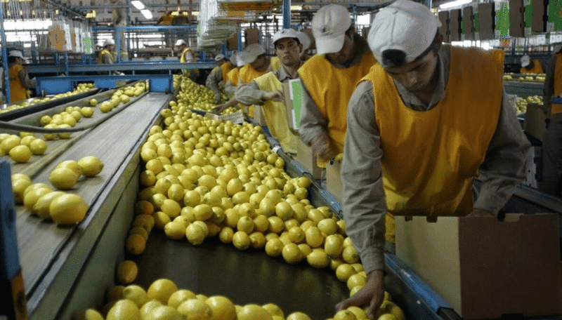 Preocupación en Tucumán por posibles cortes de gas que podrían frenar la producción industrial