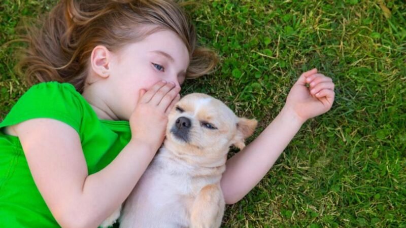 ¿Hablar con los animales dejará de ser ciencia ficción? Los avances científicos acercan un viejo sueño de la humanidad