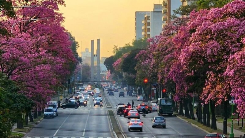Tucumán comienza a despedirse del frío: cómo estará el tiempo durante los próximos días