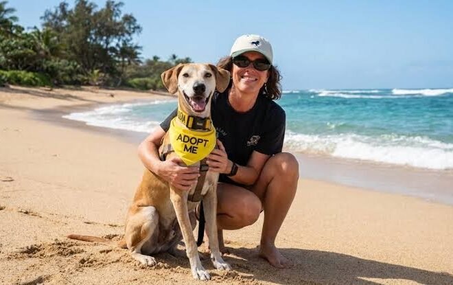 Cómo postularse para vivir en Hawaii cuidando animales rescatados con alojamiento incluido