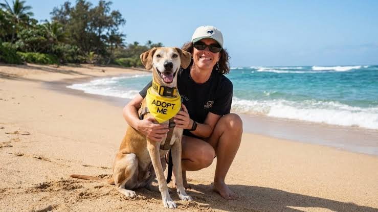 Cómo postularse para vivir en Hawaii cuidando animales rescatados con alojamiento incluido Cómo postularse para vivir en Hawaii cuidando animales rescatados con alojamiento incluido