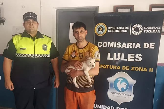 Recuperaron a un perro robado en Lules y lo devolvieron a su dueña