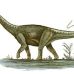 Hallazgo histórico en la Patagonia: encontraron huevos fosilizados del dinosaurio más grande del mundo en Santa Cruz