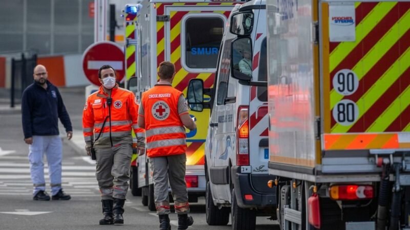Detectaron el primer caso humano del virus Shamonda en Francia: qué se sabe y cuál es el riesgo