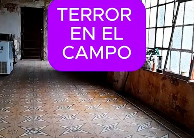 Terror en una casa de campo: un hombre filmó a un fantasma que lo molestaba en pleno día y causó escalofríos